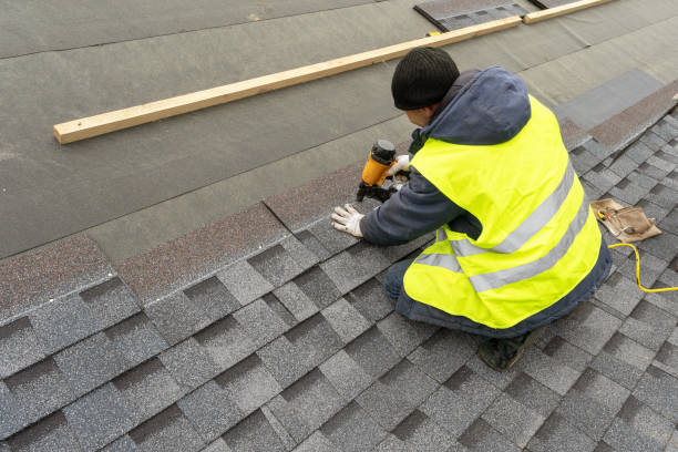 Best Roof Gutter Cleaning  in Whitehall, WI