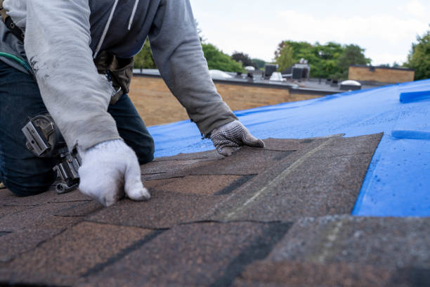 Best Roof Repair Estimates  in Whitehall, WI